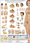 Poster zur Ästhetisch-Plastischen Chirurgie