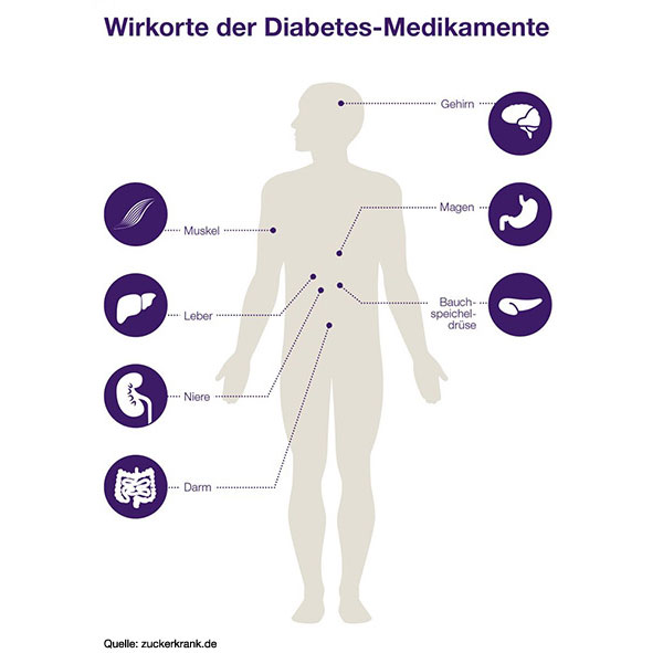 Wirkorte der Diabetes-Medikamente | zuckerkrank.de