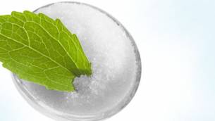 Stevia: Die süße Pflanze ohne Kalorien