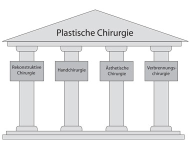 Die Plastische Chirurgie wird von 4 Säulen getragen: Ästhetische Chirurgie, Rekonstruktive Chirurgie, Verbrennungschirurgie, Handchirurgie