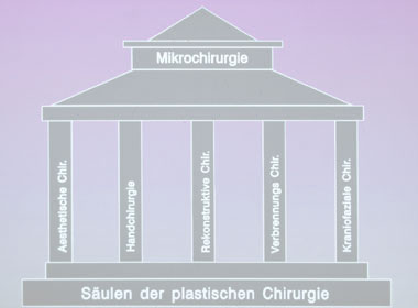 Vereinigung der Plastischen Chirurgen (VDPC) 