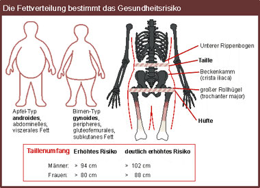 Ernährungsmedizin - Leistungsoptimierung - BMI - Fettverteilung - Diät - Birnenform