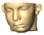 Mund-, Kiefer- und Gesichtschirurgie: Numerische Modellierung des Gesichts für eine optimale Operationsplanung